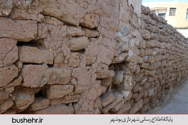 گزارش تصویری