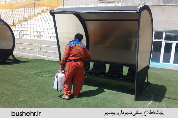 گزارش تصویری