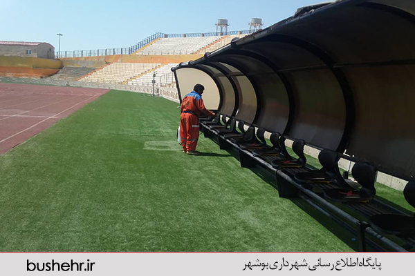 گزارش تصویری