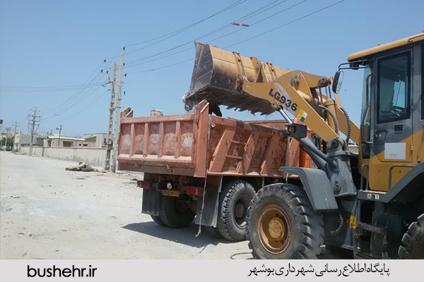 گزارش تصویری