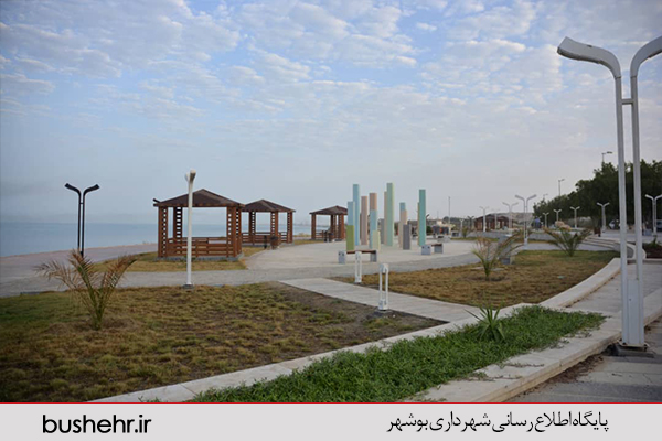گزارش تصویری