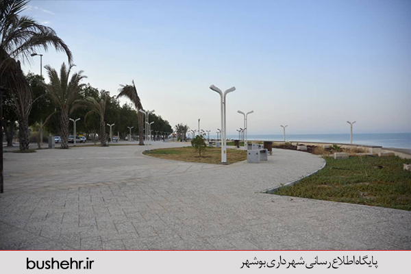 گزارش تصویری