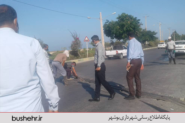 گزارش تصویری
