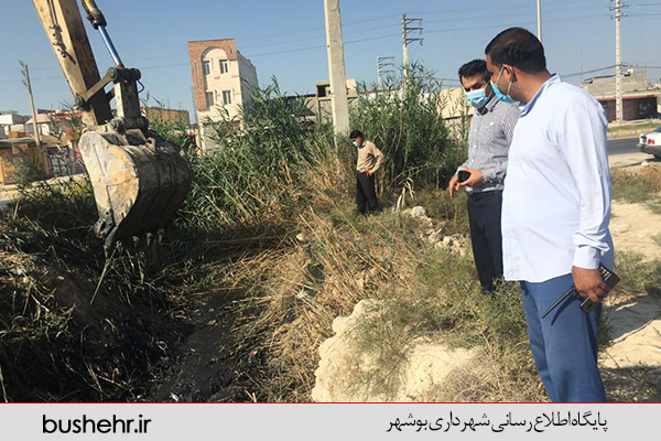 گزارش تصویری