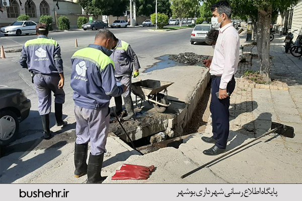گزارش تصویری