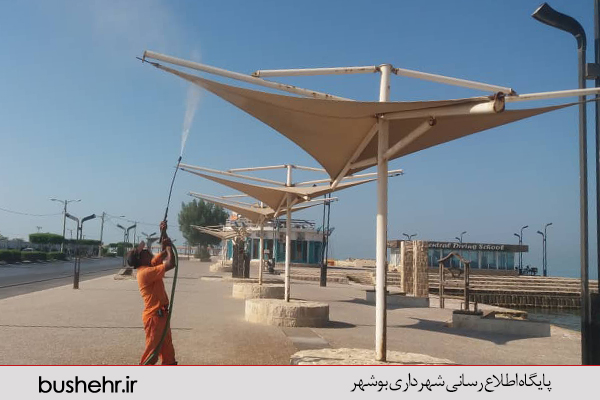 گزارش تصویری