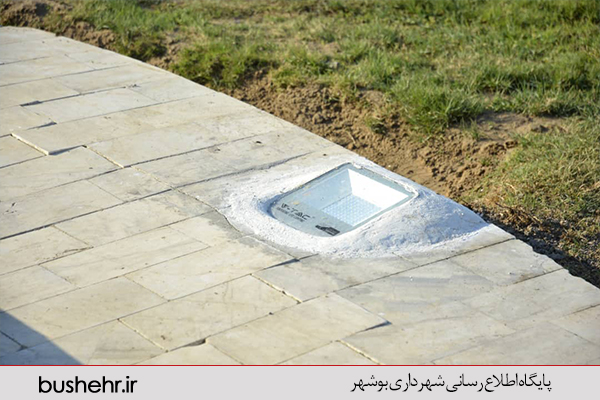 گزارش تصویری