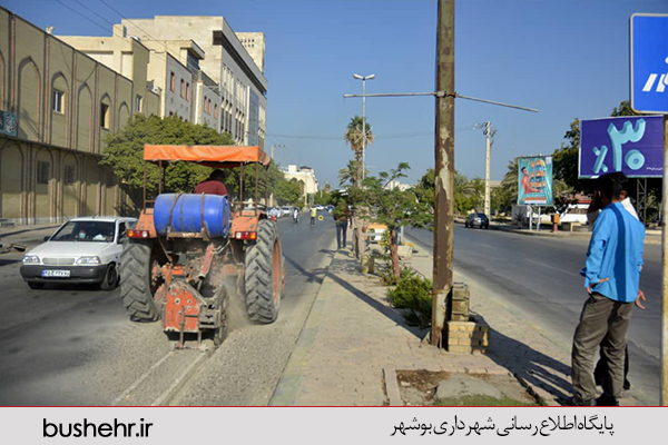 گزارش تصویری