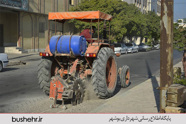 گزارش تصویری