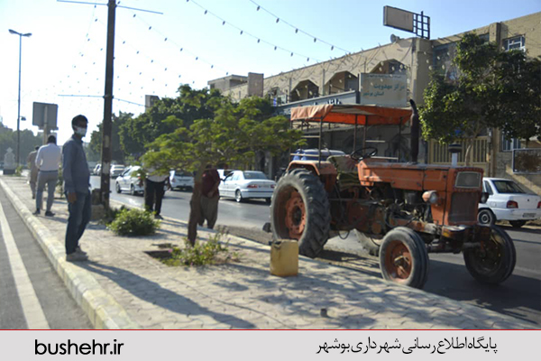 گزارش تصویری
