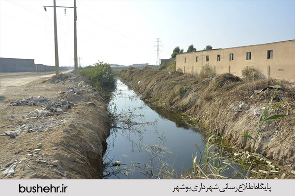 گزارش تصویری