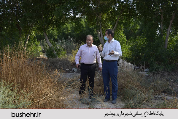 گزارش تصویری