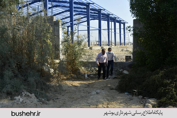 گزارش تصویری