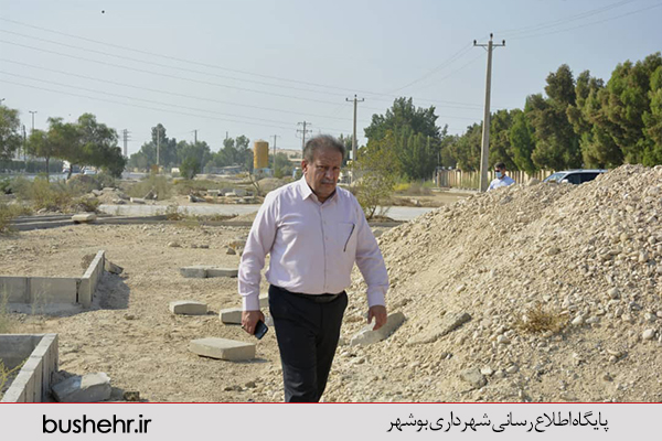 گزارش تصویری