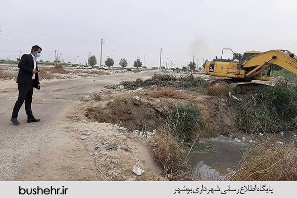 گزارش تصویری