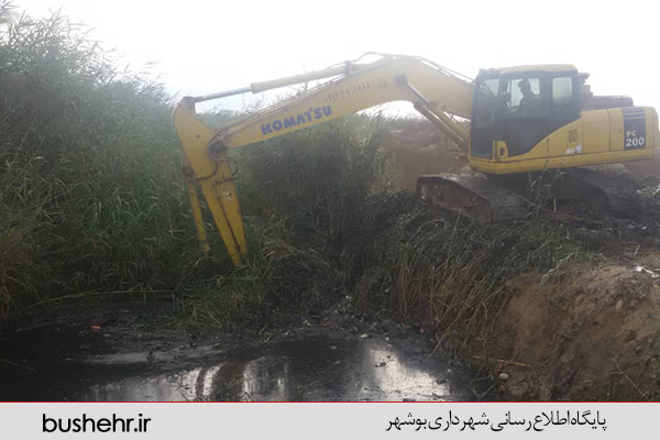 گزارش تصویری