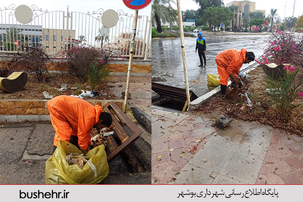 گزارش تصویری