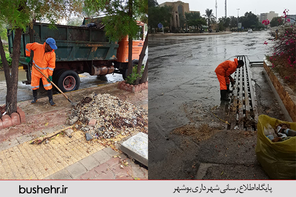 گزارش تصویری