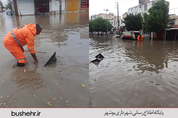 گزارش تصویری