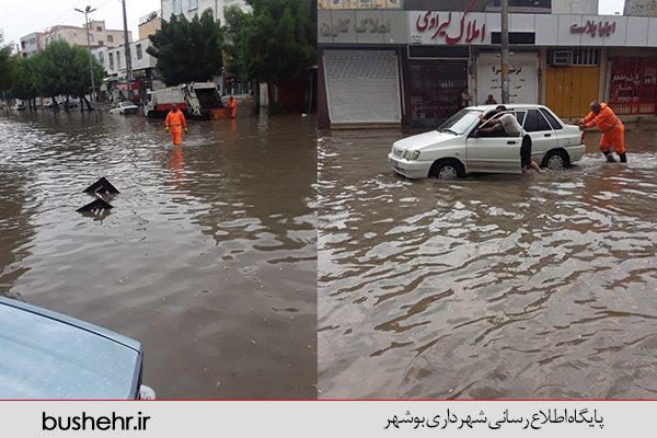 گزارش تصویری
