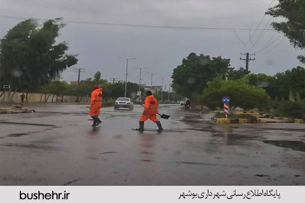 گزارش تصویری