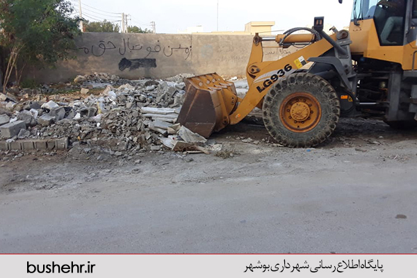 گزارش تصویری