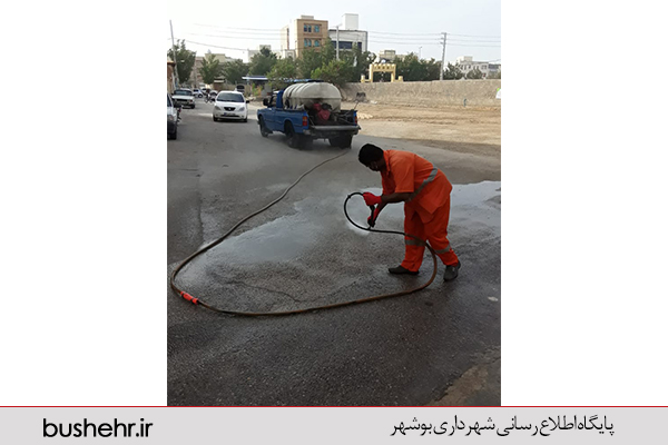 گزارش تصویری