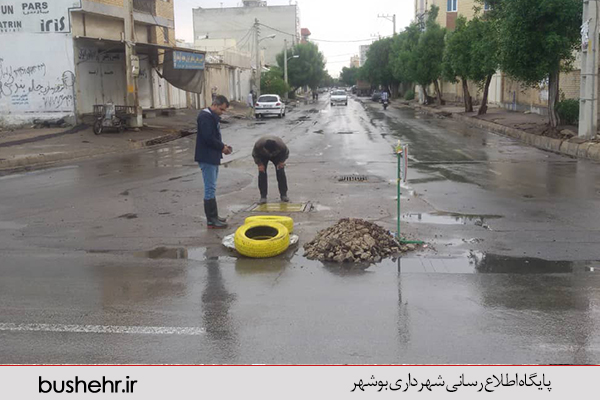 گزارش تصویری