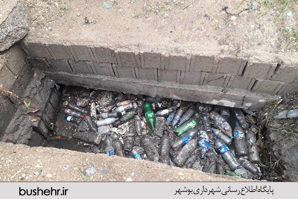 گزارش تصویری