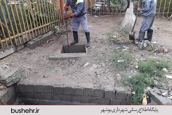 گزارش تصویری