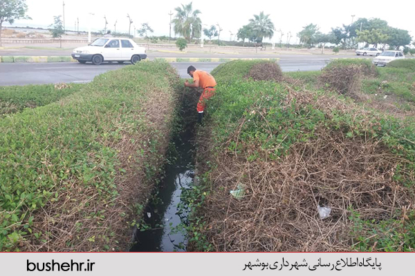 گزارش تصویری