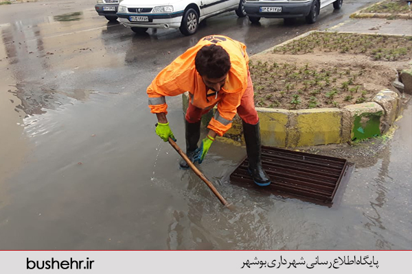 گزارش تصویری