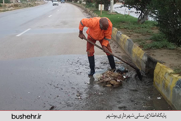 گزارش تصویری