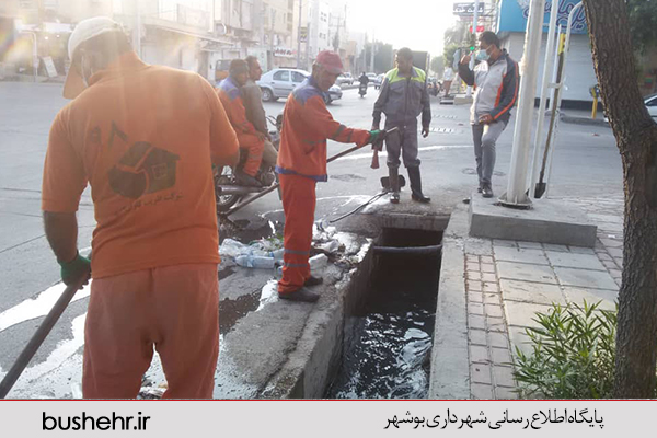 گزارش تصویری