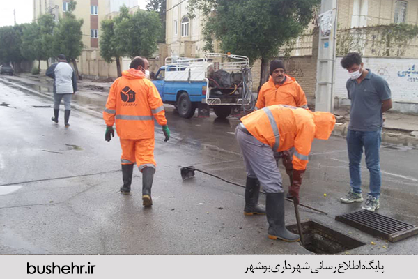گزارش تصویری