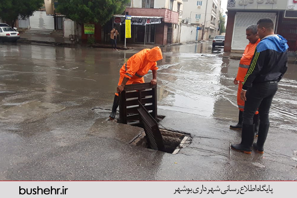 گزارش تصویری