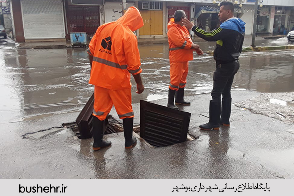 گزارش تصویری