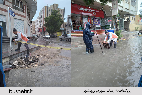 گزارش تصویری
