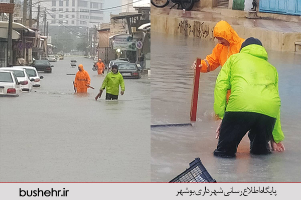 گزارش تصویری