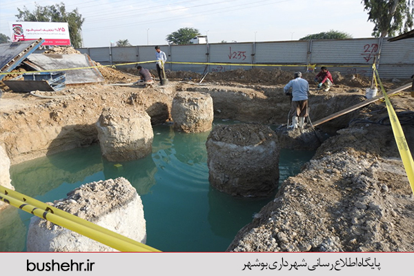 گزارش تصویری