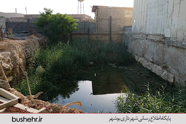 گزارش تصویری