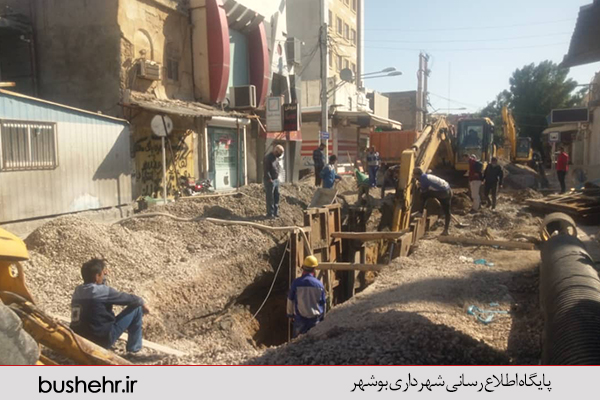 گزارش تصویری