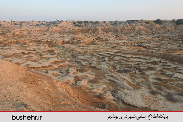 گزارش تصویری