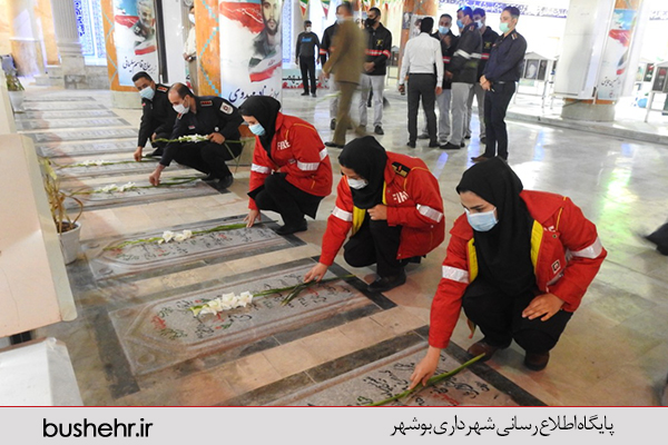 گزارش تصویری