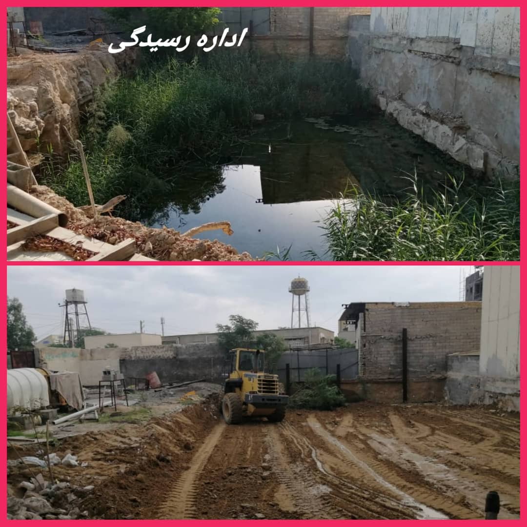 گزارش تصویری
