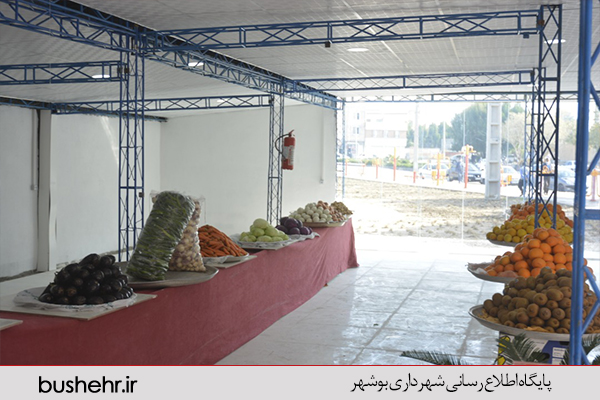 گزارش تصویری