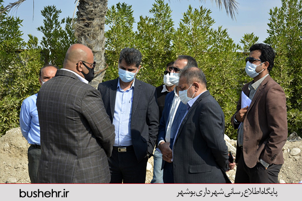 گزارش تصویری