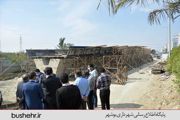 گزارش تصویری