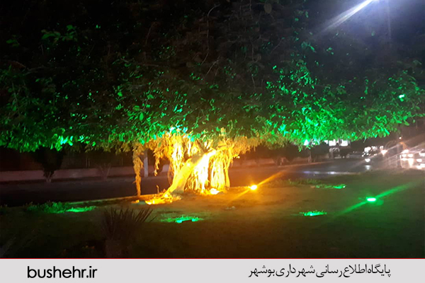 گزارش تصویری