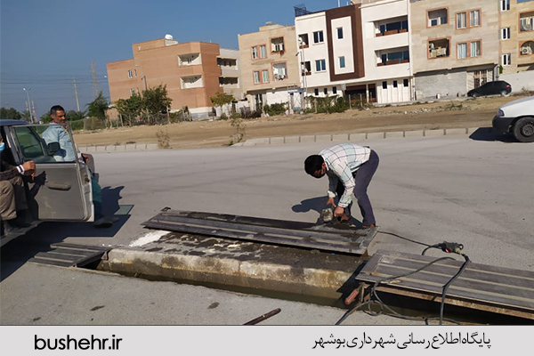 گزارش تصویری